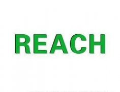 REACH认证需要提供什么资料?